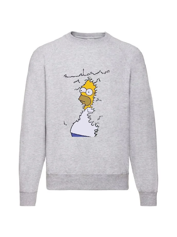 Φωτογραφία προϊόντος: Φούτερ Sweatshirt The Simpsons Homer no2 Original Fruit of the loom 80% βαμβάκι
