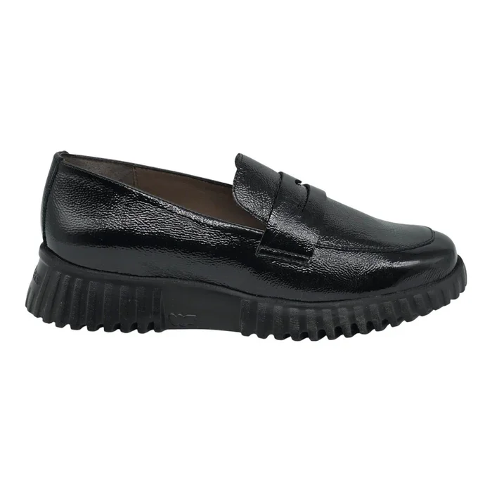 Φωτογραφία προϊόντος: Wonders loafers a-4402 black