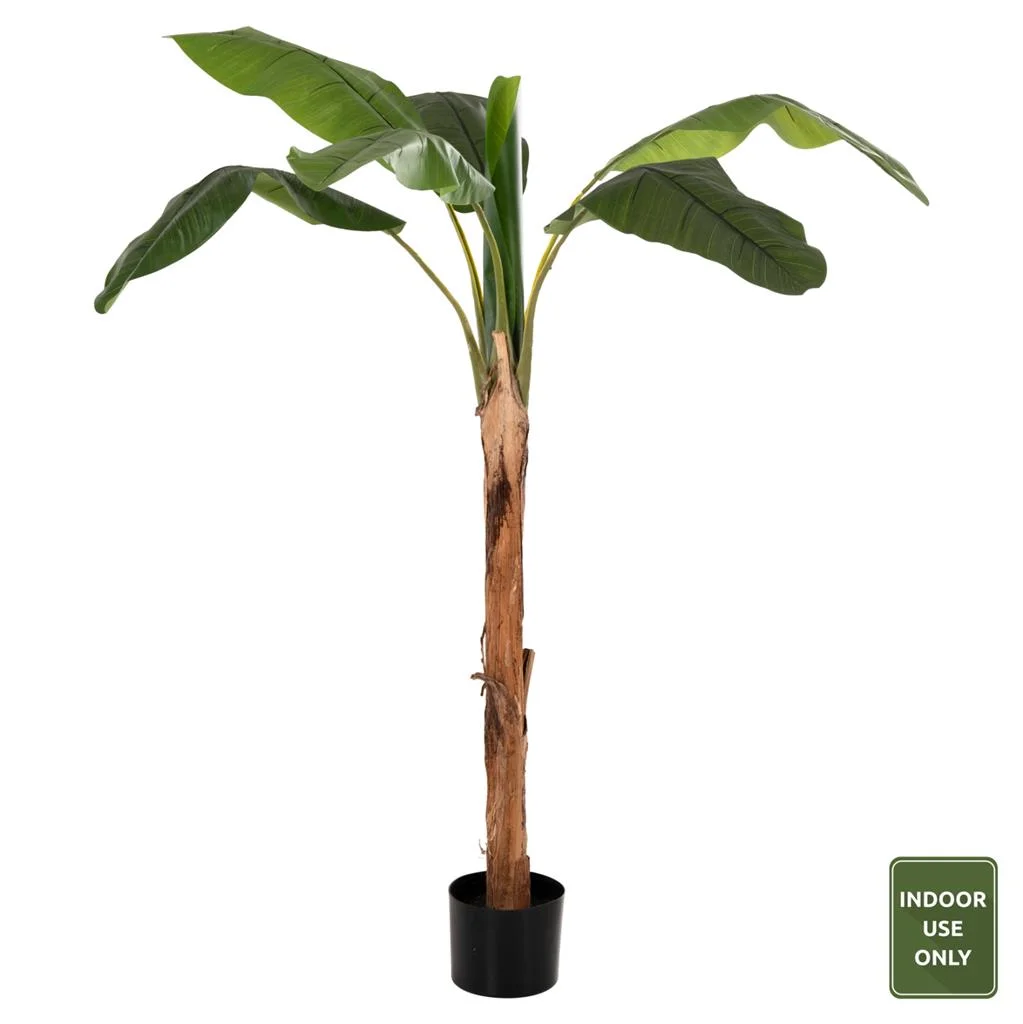 Φωτογραφία προϊόντος: B2BMarkt ΔΙΑΚΟΣΜΗΤΙΚΟ ΣΥΝΘΕΤΙΚΟ ΦΥΤΟ HM7979 ΔΕΝΤΡΟ ΜΠΑΝΑΝΑΣ (1) ΣΕ ΓΛΑΣΤΡΑ 180Υεκ.