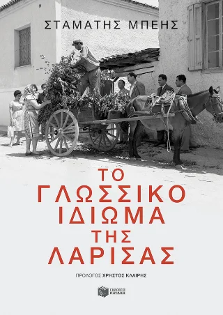 Φωτογραφία προϊόντος: Εκδόσεις Πατάκη Το γλωσσικό ιδίωμα της Λάρισας