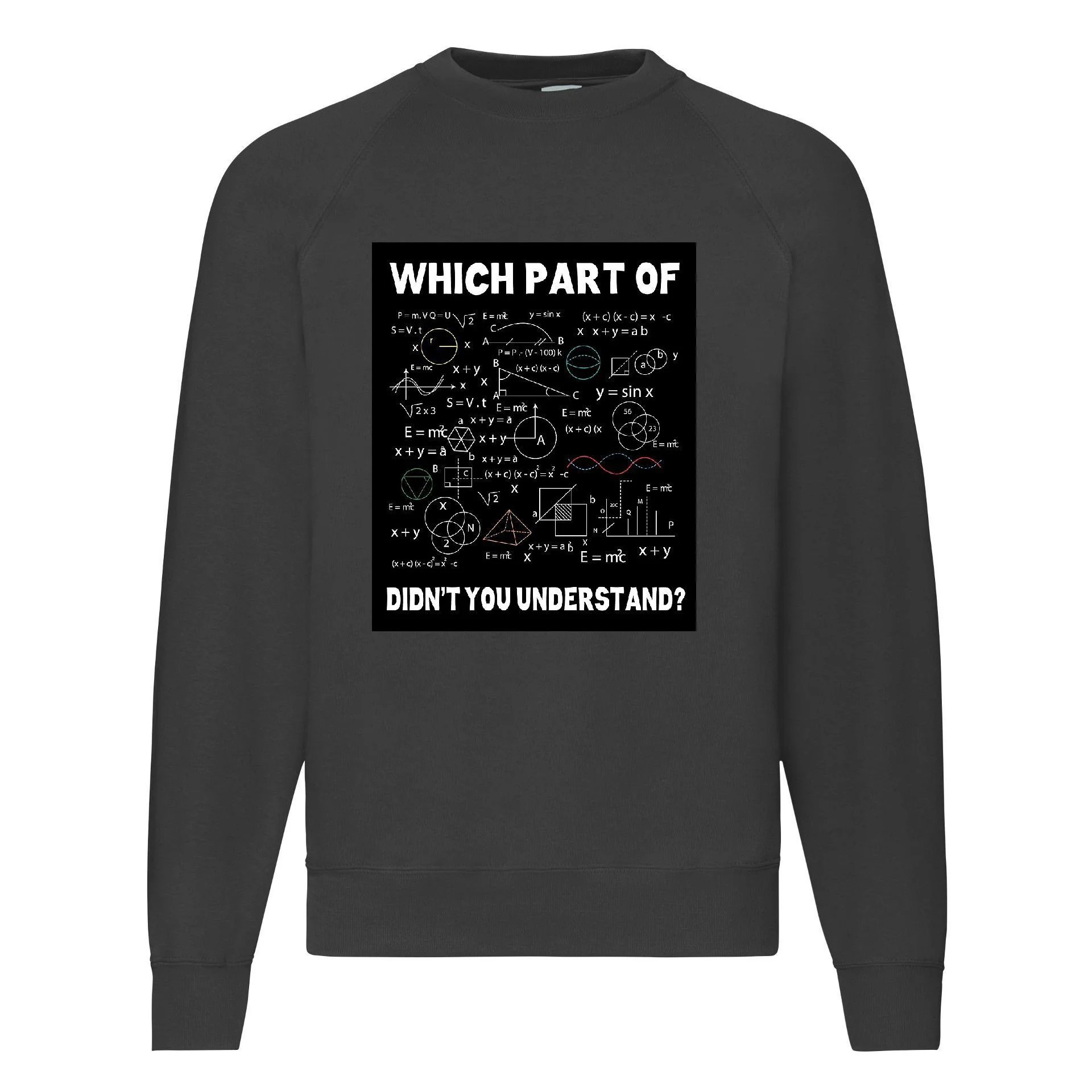 Φωτογραφία προϊόντος: Φούτερ Sweatshirt Mathematics Για Μαθηματικά Μυαλά no1 Original Fruit of the loom 80% βαμβάκι
