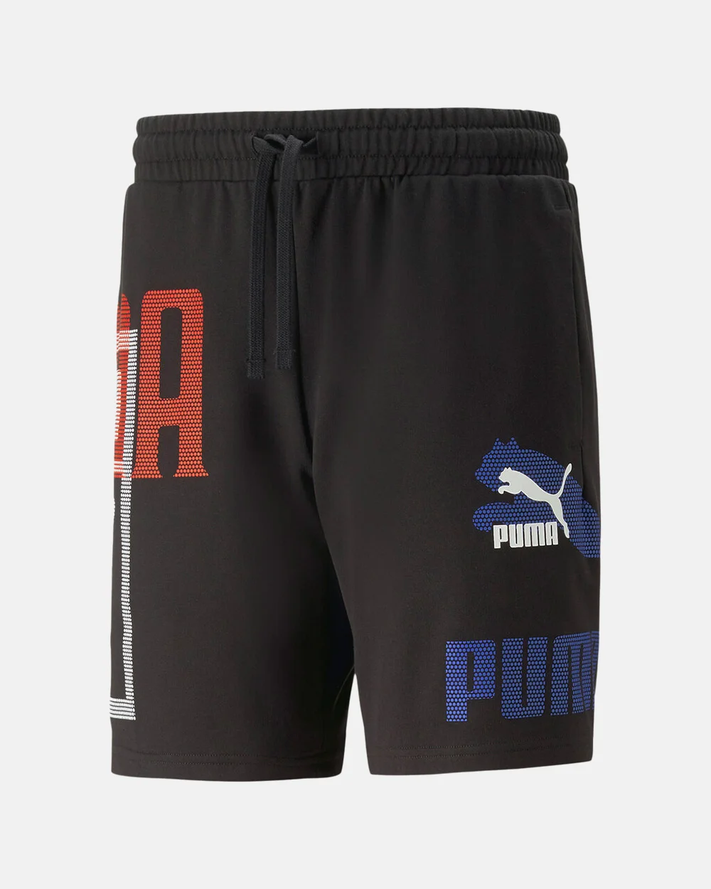 Φωτογραφία προϊόντος: PUMA CLASSICS 48+gt;+gt;23 SORTS 8" TR #000000