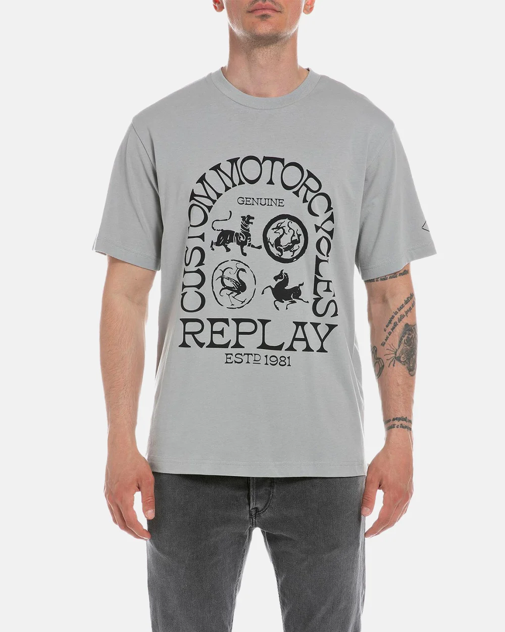 Φωτογραφία προϊόντος: REPLAY T-SHIRT JERSEY #d3d3d3