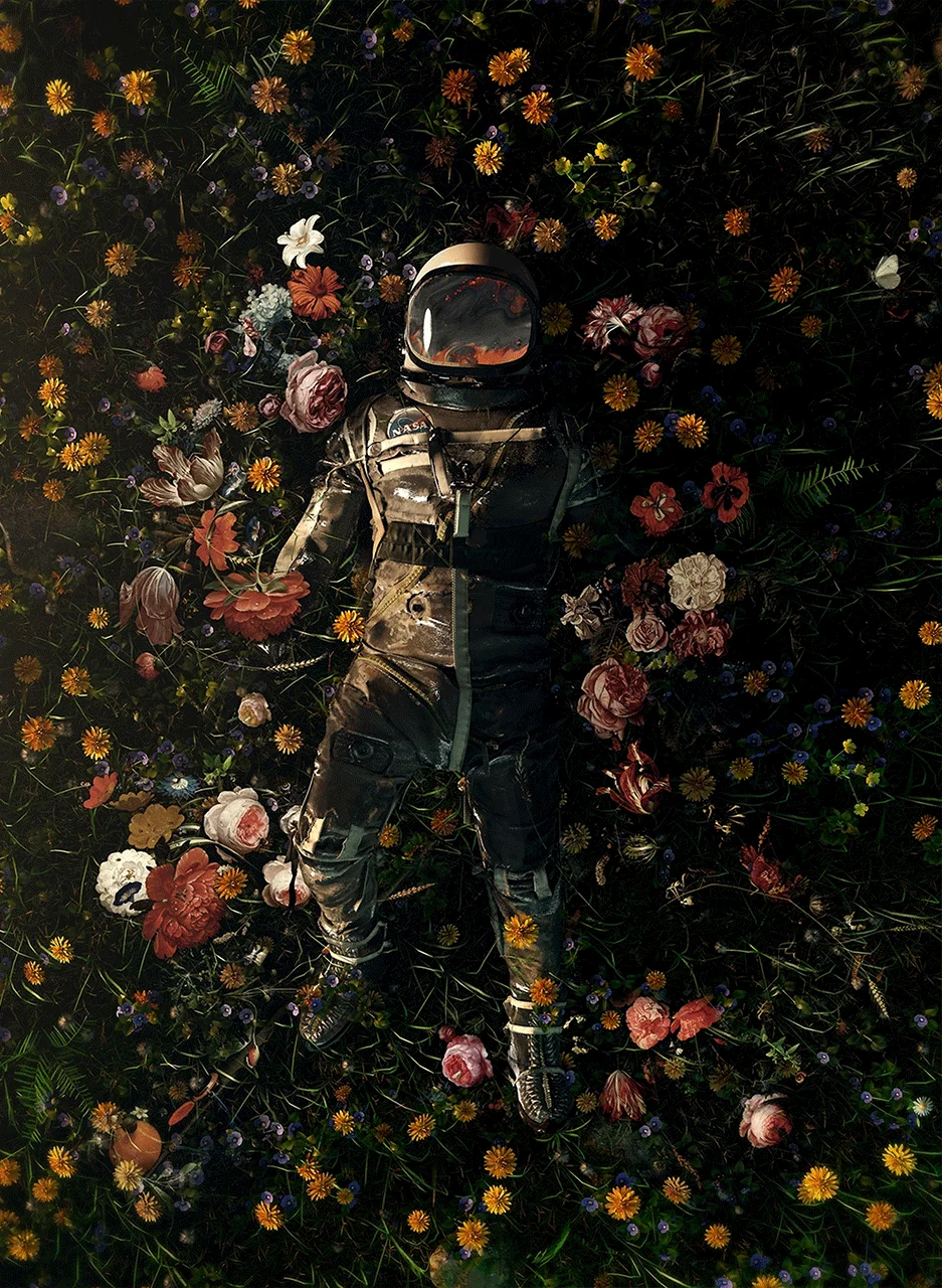 Φωτογραφία προϊόντος: Πίνακας σε καμβά Garden at Sky