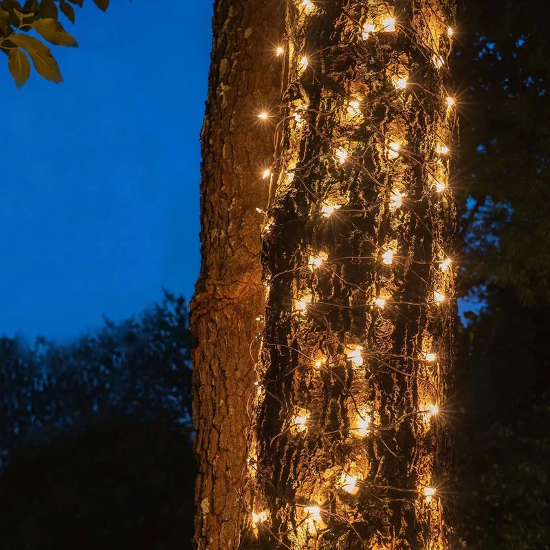 Φωτογραφία προϊόντος: ACALIGHT ΛΑΜΠΑΚΙΑ ΔΙΧΤΥ 50 LED FLASH ΘΕΡΜΟ ΛΕΥΚΟ ΠΡΑΣΙΝΟ ΚΑΛΩΔΙΟ ΜΕ ΑΝΤΑΠΤΟΡΑ 31VDC & ΜΕ ΔΥΝΑΤΟΤΗΤΑ ΕΠΕΚΤΑΣΗΣ & 5 ΑΓΓΙΣΤΡΑ IP44 550x800mm / X0850111