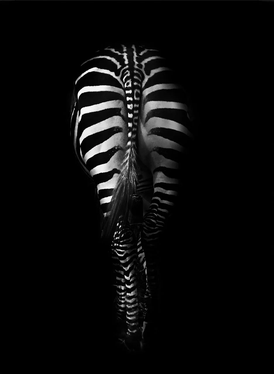 Φωτογραφία προϊόντος: Πίνακας σε καμβά Zebra Art