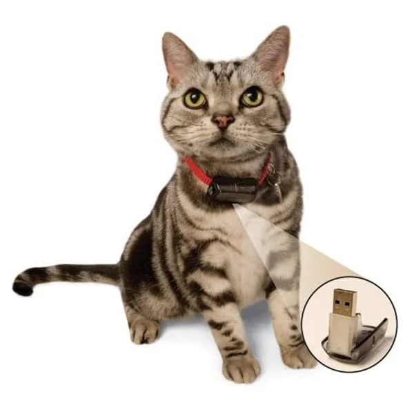 Φωτογραφία προϊόντος: OEM Collar Micro ID (τσιπ για κολάρο γάτας)