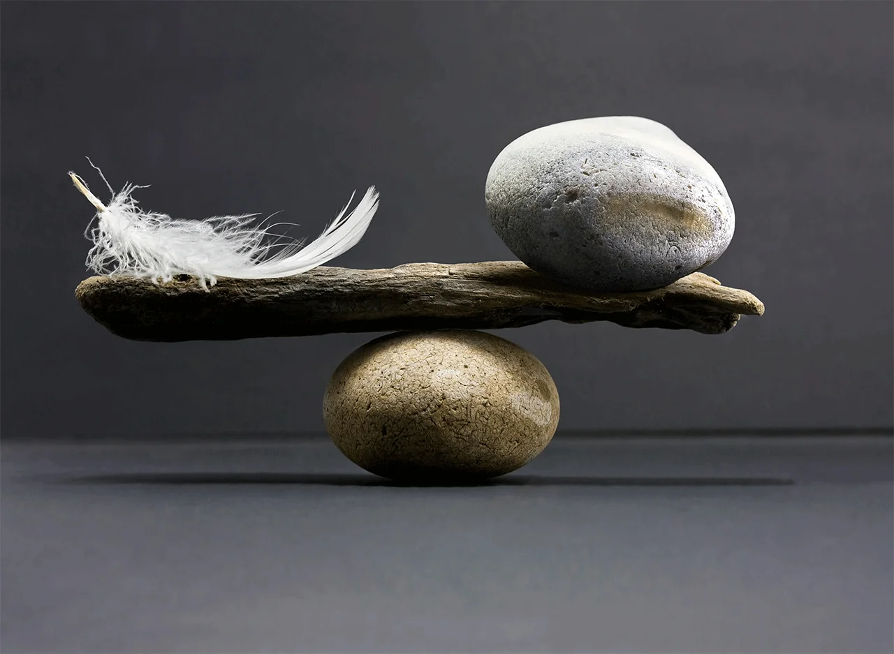 Φωτογραφία προϊόντος: Πίνακας σε καμβά Feather and Stone