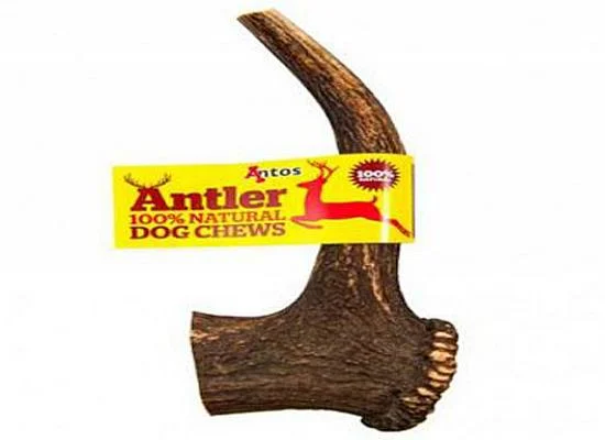 Φωτογραφία προϊόντος: Antler Κέρατο Ελαφιού Antler Dog Chews Small - (41-70gr) μικρές φυλές και κουτάβια 60gr