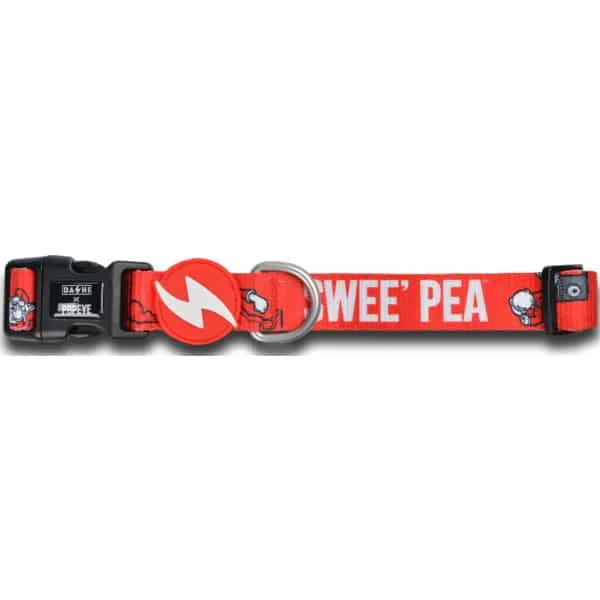 Φωτογραφία προϊόντος: Dashi SweePea Collar 20-30cm XSmall