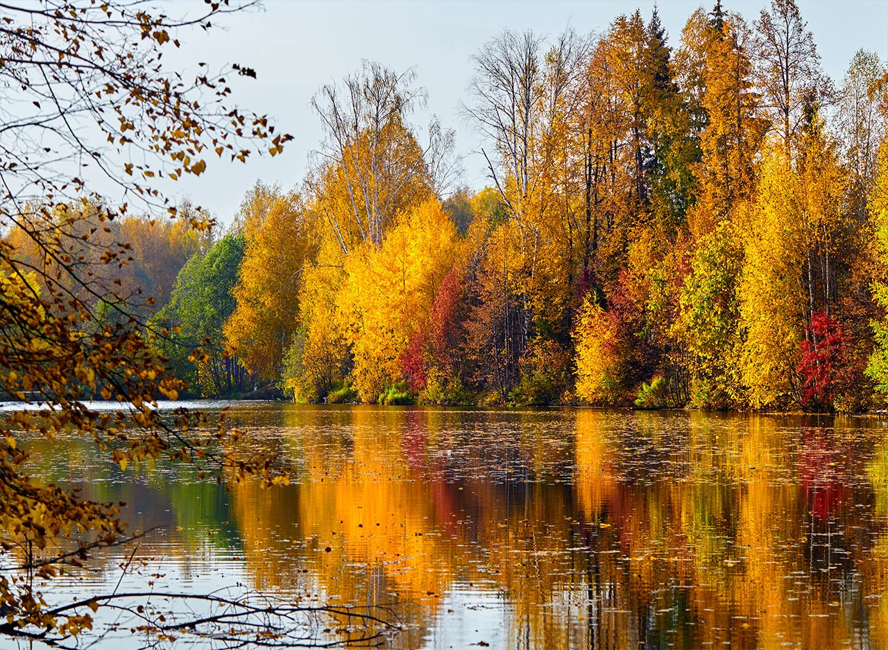 Φωτογραφία προϊόντος: Πίνακας σε καμβά Forest with Lake Autumn