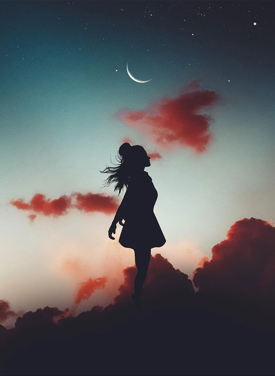 Φωτογραφία προϊόντος: Πίνακας σε σε καμβά limit is the sky