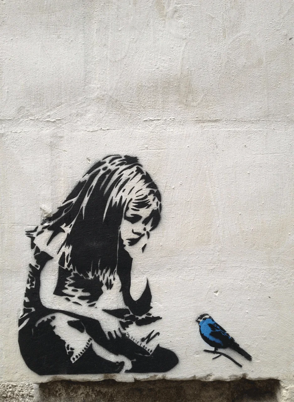 Φωτογραφία προϊόντος: Πίνακας σε καμβά Girl with blue bird, Street art