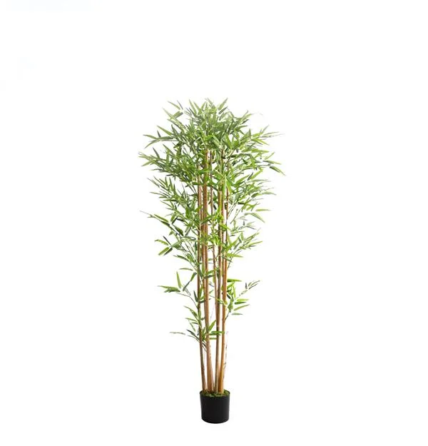 Φωτογραφία προϊόντος: ΟΕΜ BAMBOO NP0075_180 ΥΨΟΣ 180cm |