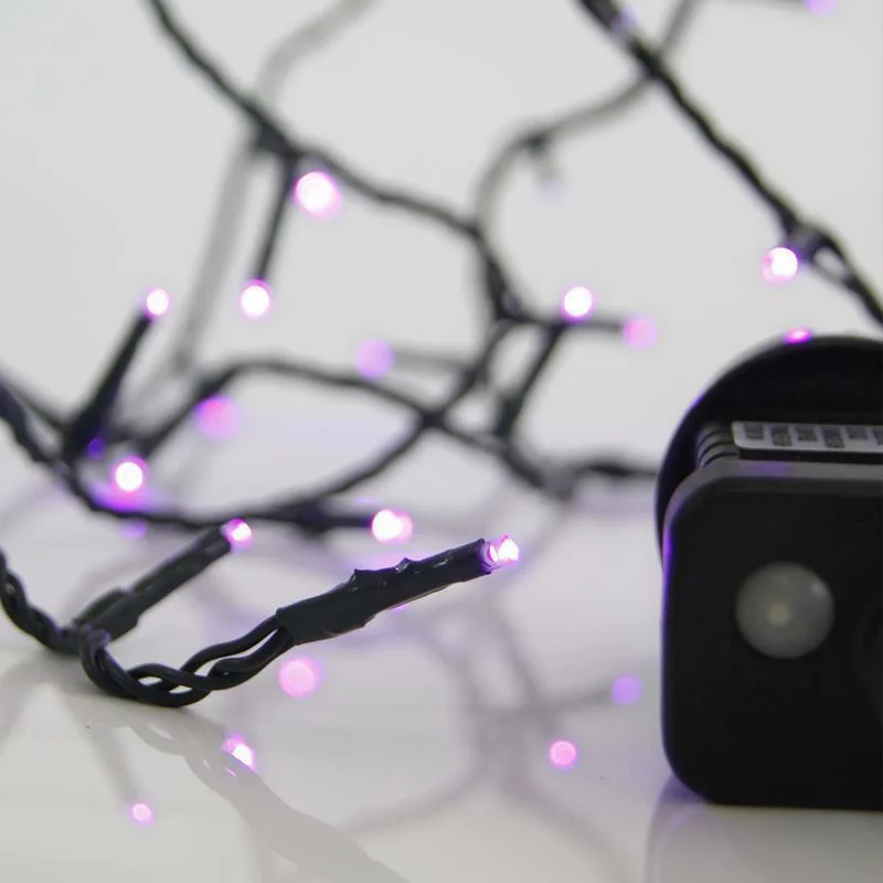 Φωτογραφία προϊόντος: 100 Λαμπάκια LED Μωβ 3mm με Προγράμματα, Σειρά, Πράσινο Καλώδιο Ρεύματος 4.95m Eurolamp (600-11504)