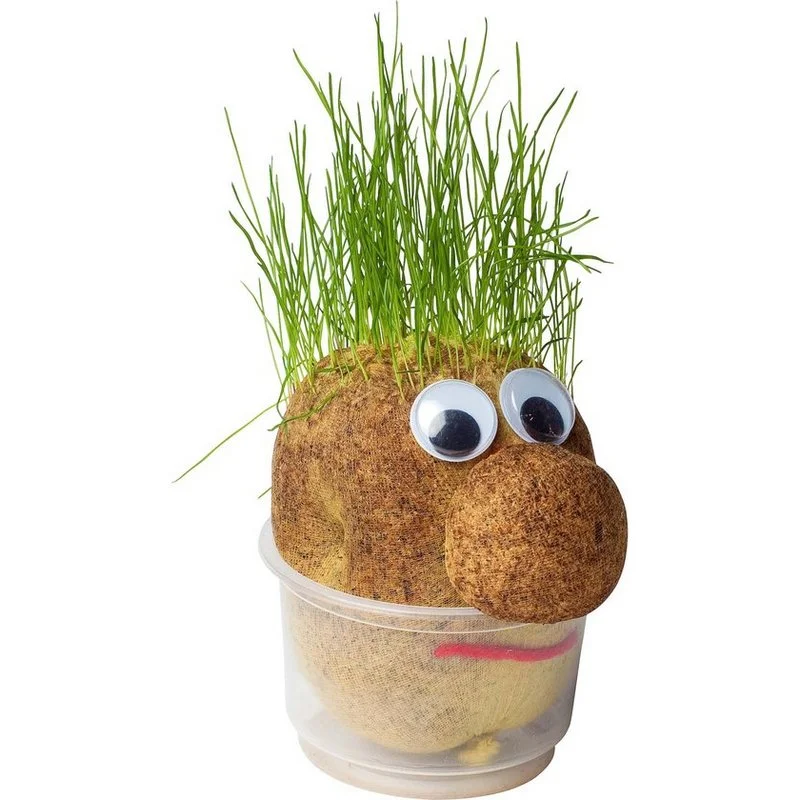 Φωτογραφία προϊόντος: OEM MR. BART GRASS - HEAD