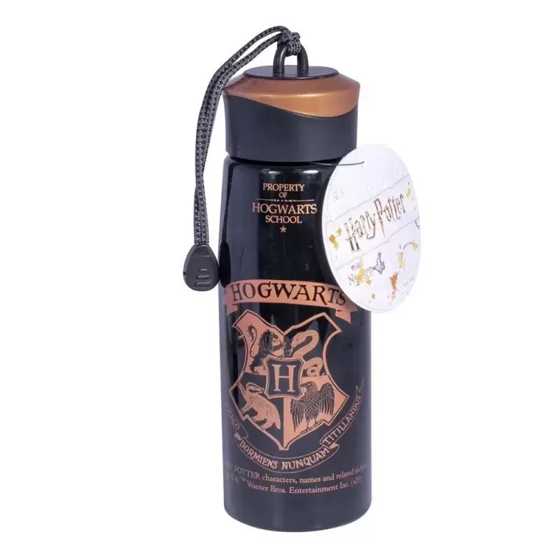 Φωτογραφία προϊόντος: MathV Harry Potter String Water Bottle Glossy Black (SLHP299)