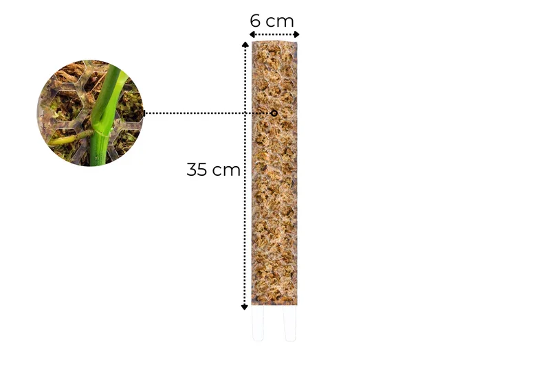 Φωτογραφία προϊόντος: Moss Pole Crystal Clear Medium 35cm x 6cm