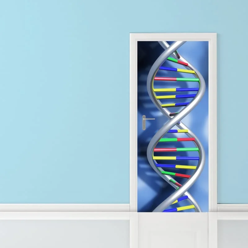 Φωτογραφία προϊόντος: Αυτοκόλλητο Πόρτας - DNA Analysis