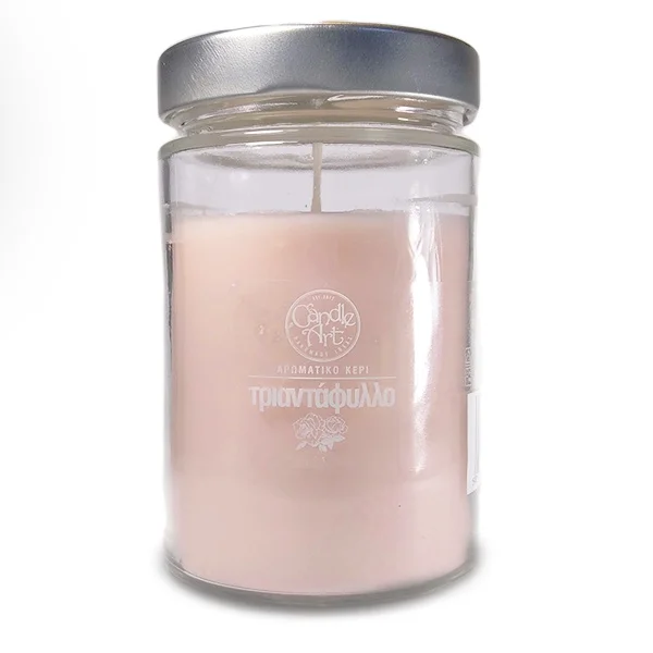 Φωτογραφία προϊόντος: Candle n' Art Φυτικό Αρωματικό Κερί Τριαντάφυλλο 370ml