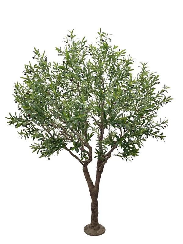 Φωτογραφία προϊόντος: ΟΕΜ OLIVE TREE 496_240_UV ΥΨΟΣ 240cm |