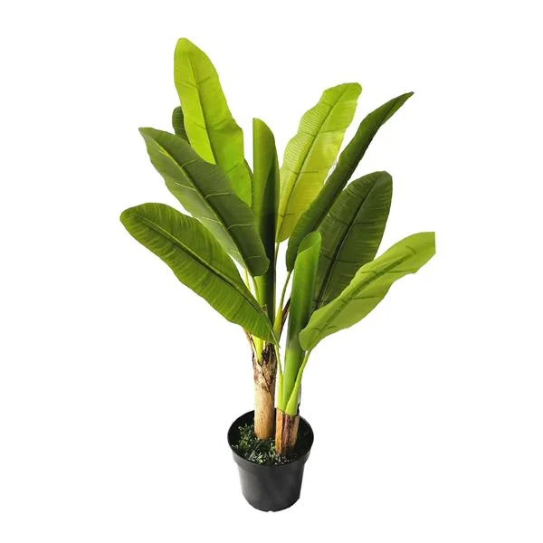 Φωτογραφία προϊόντος: ΟΕΜ BANANA TREE NP014_120_22 ΥΨΟΣ 120cm |