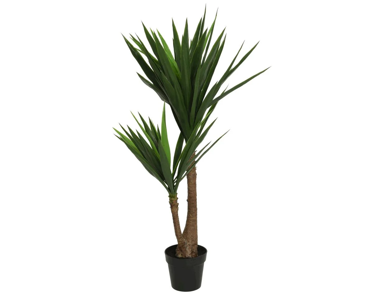 Φωτογραφία προϊόντος: papachatzis spring Γιούκα (yucca) Δεντράκι Σε Κασπώ Πράσινο 122cm