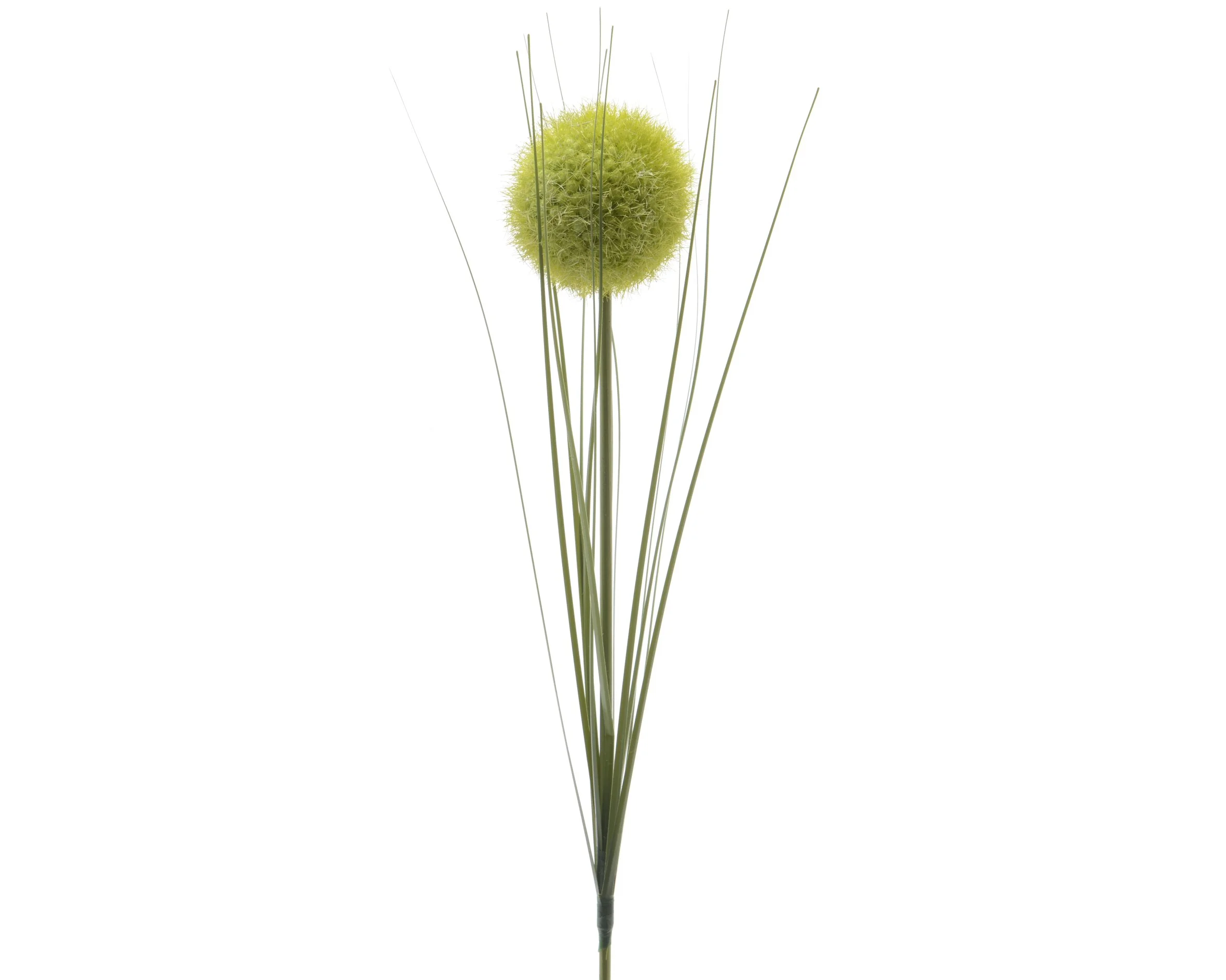 Φωτογραφία προϊόντος: papachatzis spring Allium Κλαδί Πράσινο 66cm