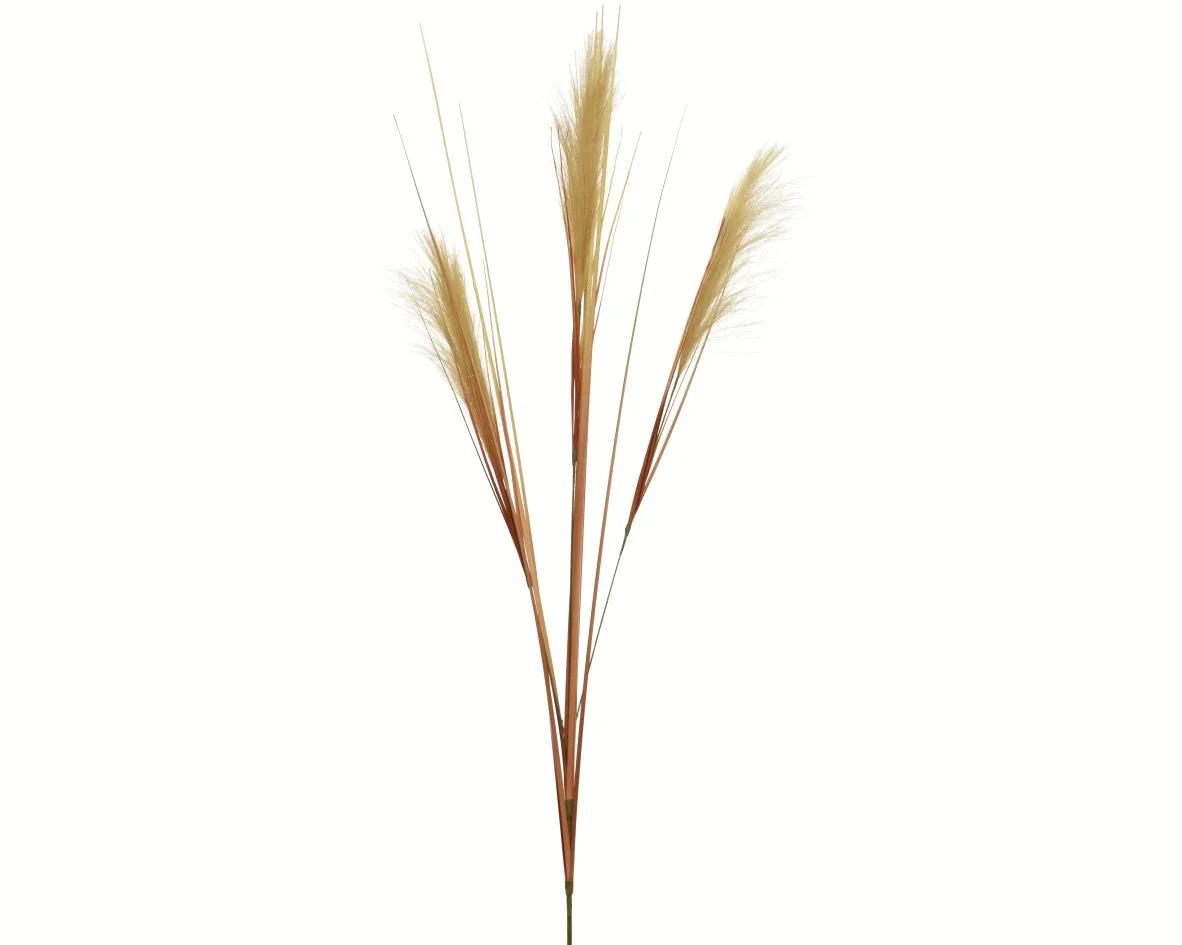 Φωτογραφία προϊόντος: papachatzis spring Plume Κλαδί Καφέ 115cm