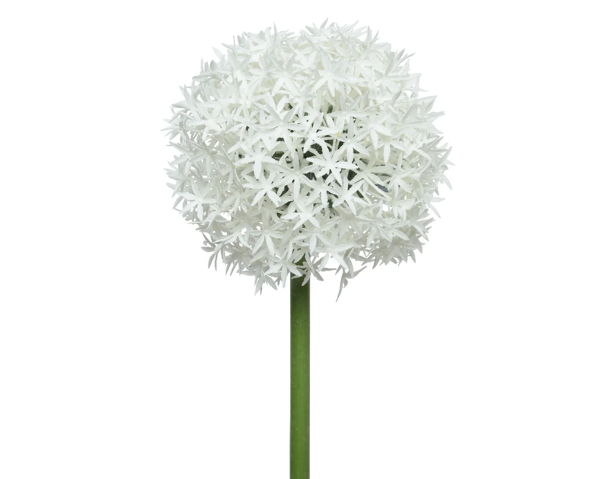 Φωτογραφία προϊόντος: papachatzis spring Allium Κλαδί Μπουκέτο Λευκό 81cm