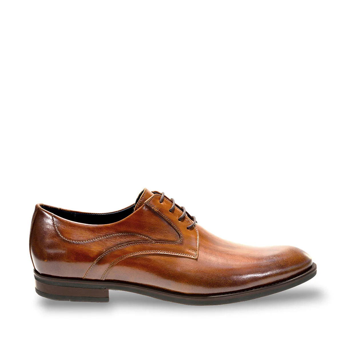 Φωτογραφία προϊόντος: DAMIANI SHOES 1508 ΤΑΜΠΑ
