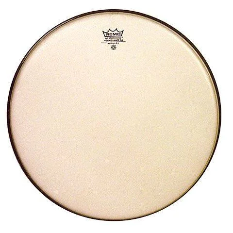 Φωτογραφία προϊόντος: REMO Ambassador Renaissance 22"