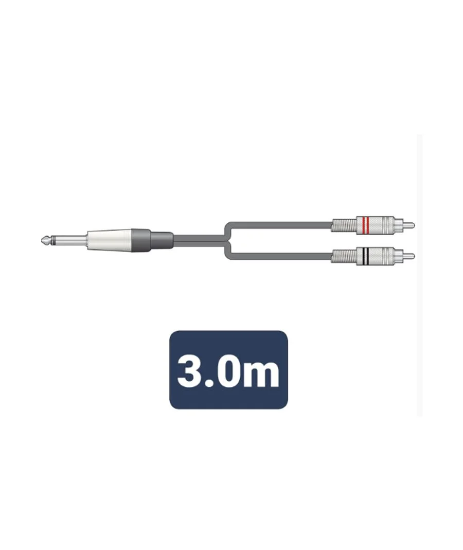 Φωτογραφία προϊόντος: Citronic M6J-2R300 Καλώδιο Ήχου 6.3mm Mono Jack Plug - 2 x RCA Plugs 3m (Τεμάχιο)