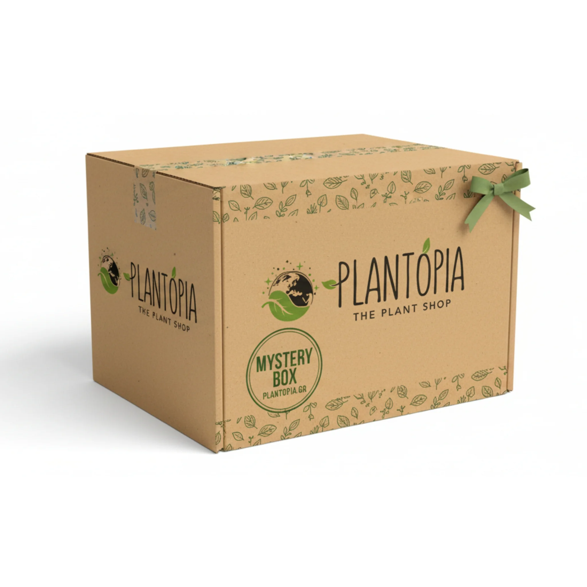 Φωτογραφία προϊόντος: OEM MYSTERY BOX - Κήπου
