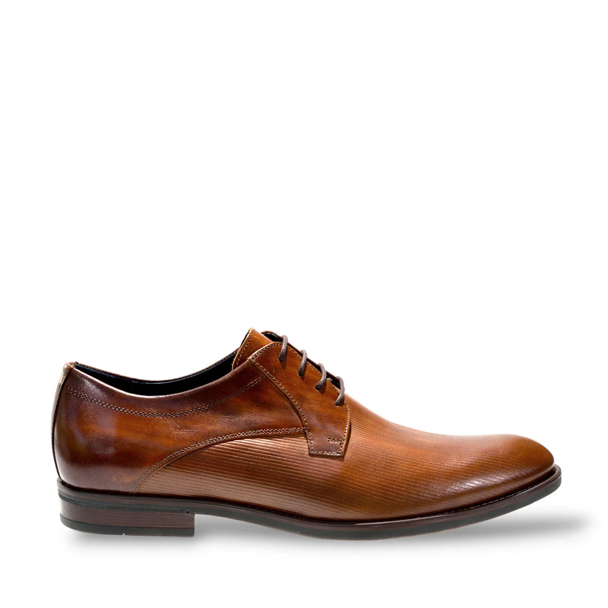 Φωτογραφία προϊόντος: DAMIANI SHOES 1512 ΤΑΜΠΑ