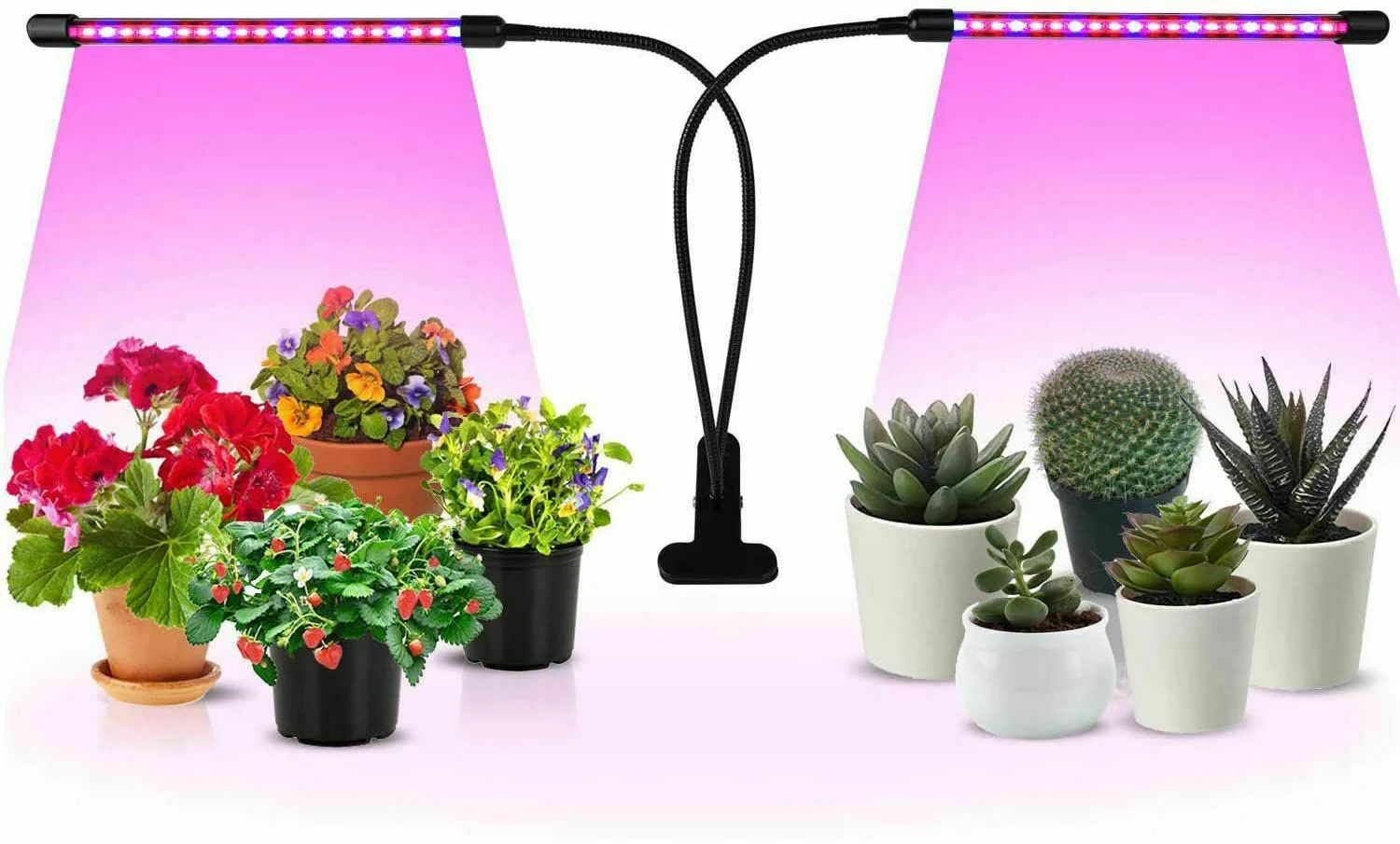 Φωτογραφία προϊόντος: OEM Επιτραπέζιο Grow Light με LED