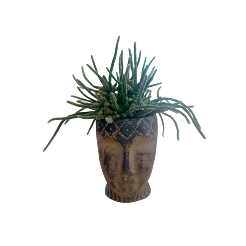 Φωτογραφία προϊόντος: OEM ΚΕΡΑΜΙΚΟ ΚΑΣΠΩ 'Totem Mask'- Rhipsalis