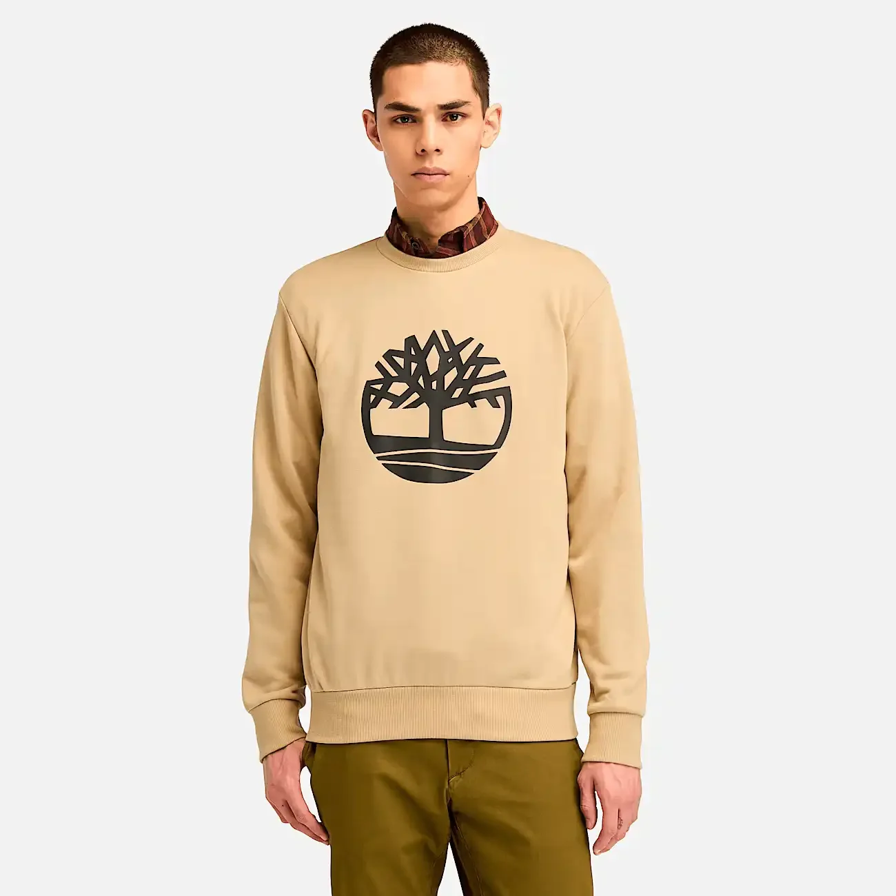 Φωτογραφία προϊόντος: Timberland - Ανδρικό Φούτερ Northwood Brushback Crew Neck TB0A6WCA-DH4 Μπεζ