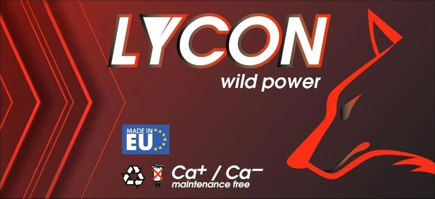 Φωτογραφία προϊόντος: ΜΠΑΤΑΡΙΑ LYCON 50AH - 12 ΜΗΝΕΣ ΓΡΑΠΤΗ ΕΓΓΥΗΣΗ