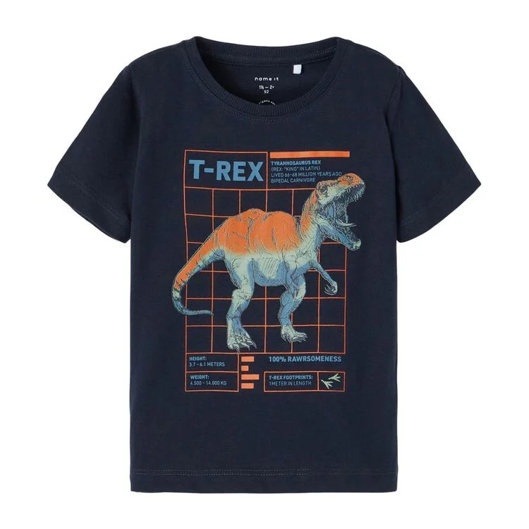 Φωτογραφία προϊόντος: T-shirt Name It για αγόρια μπλε T-REX