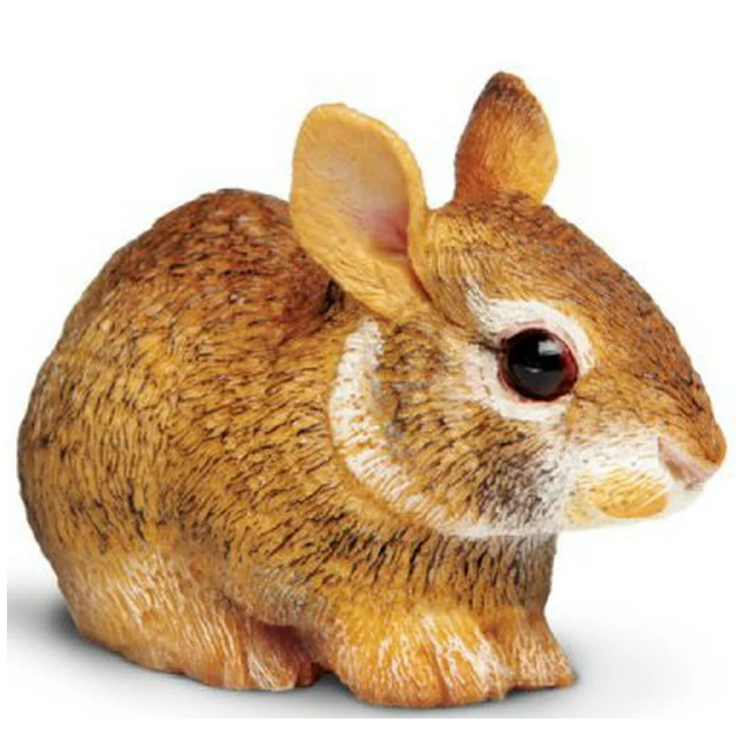 Φωτογραφία προϊόντος: 262129 Safari Baby Eastern Cottontail Rabbit