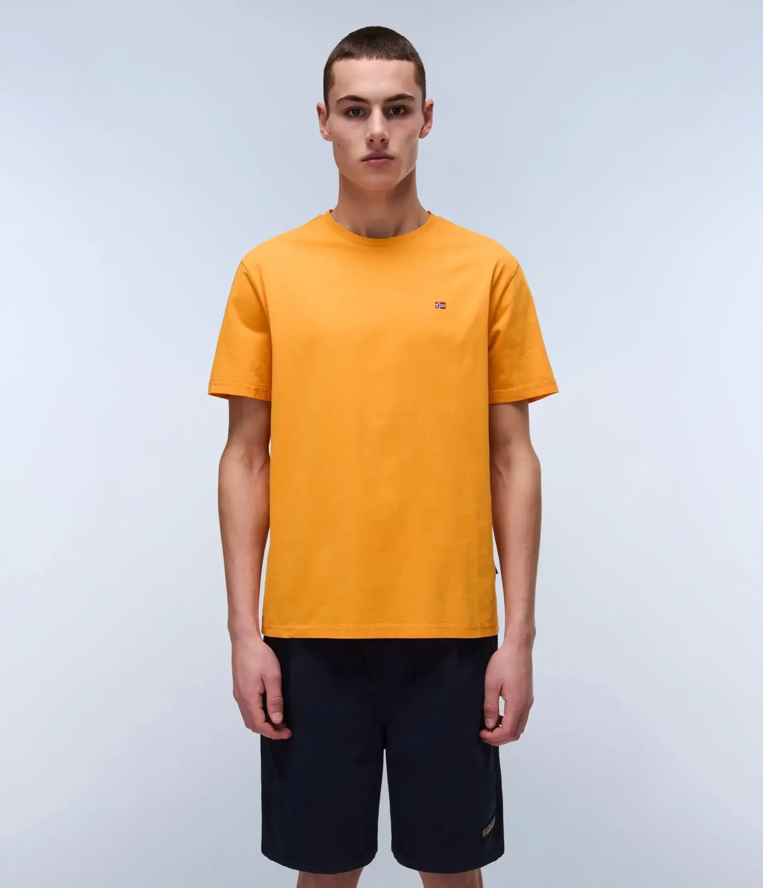 Φωτογραφία προϊόντος: Napapijri - Ανδρικό T-shirt Salis Ss Sum Regular Fit NP0A4H8D-A70 Πορτοκαλί