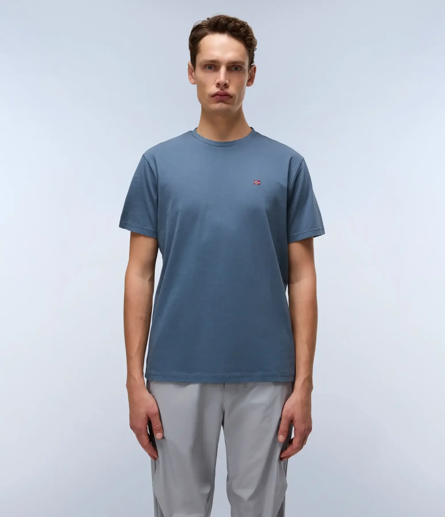 Φωτογραφία προϊόντος: Napapijri - Ανδρικό T-shirt Salis Ss Sum Regular Fit NP0A4H8D-G1Y Μπλε Ραφ