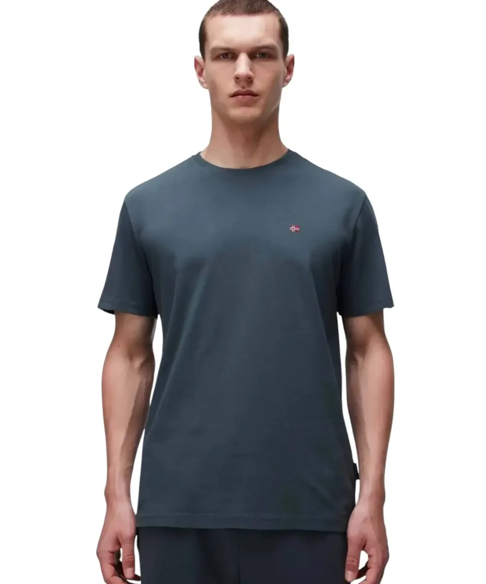 Φωτογραφία προϊόντος: Napapijri - Ανδρικό T-shirt Salis Ss Sum Regular Fit NP0A4H8D-G1S Πράσινο