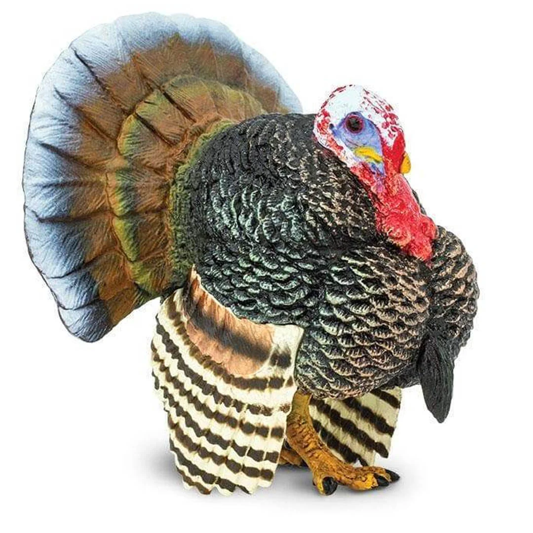Φωτογραφία προϊόντος: 242929 Safari Turkey