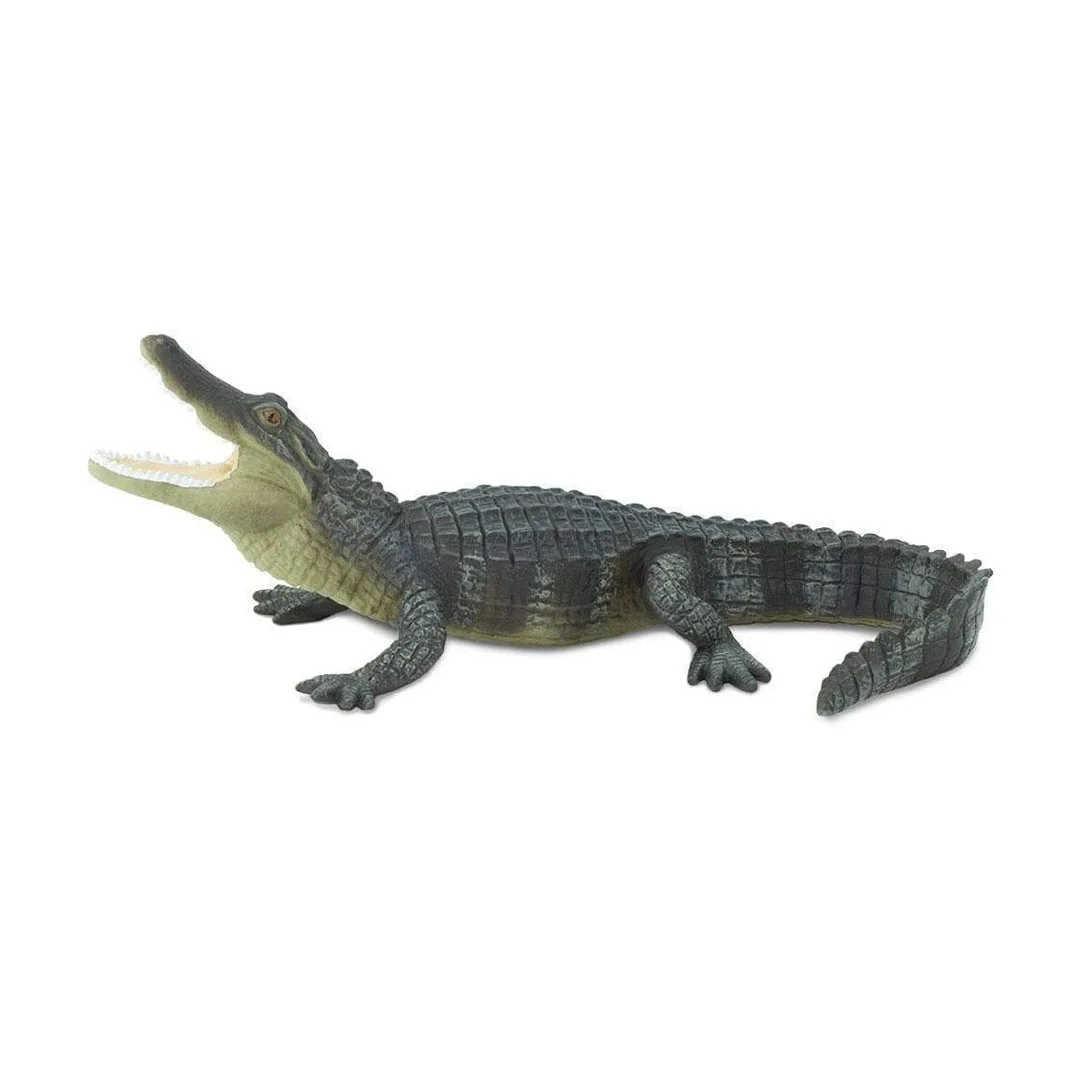 Φωτογραφία προϊόντος: 276429 Safari Alligator