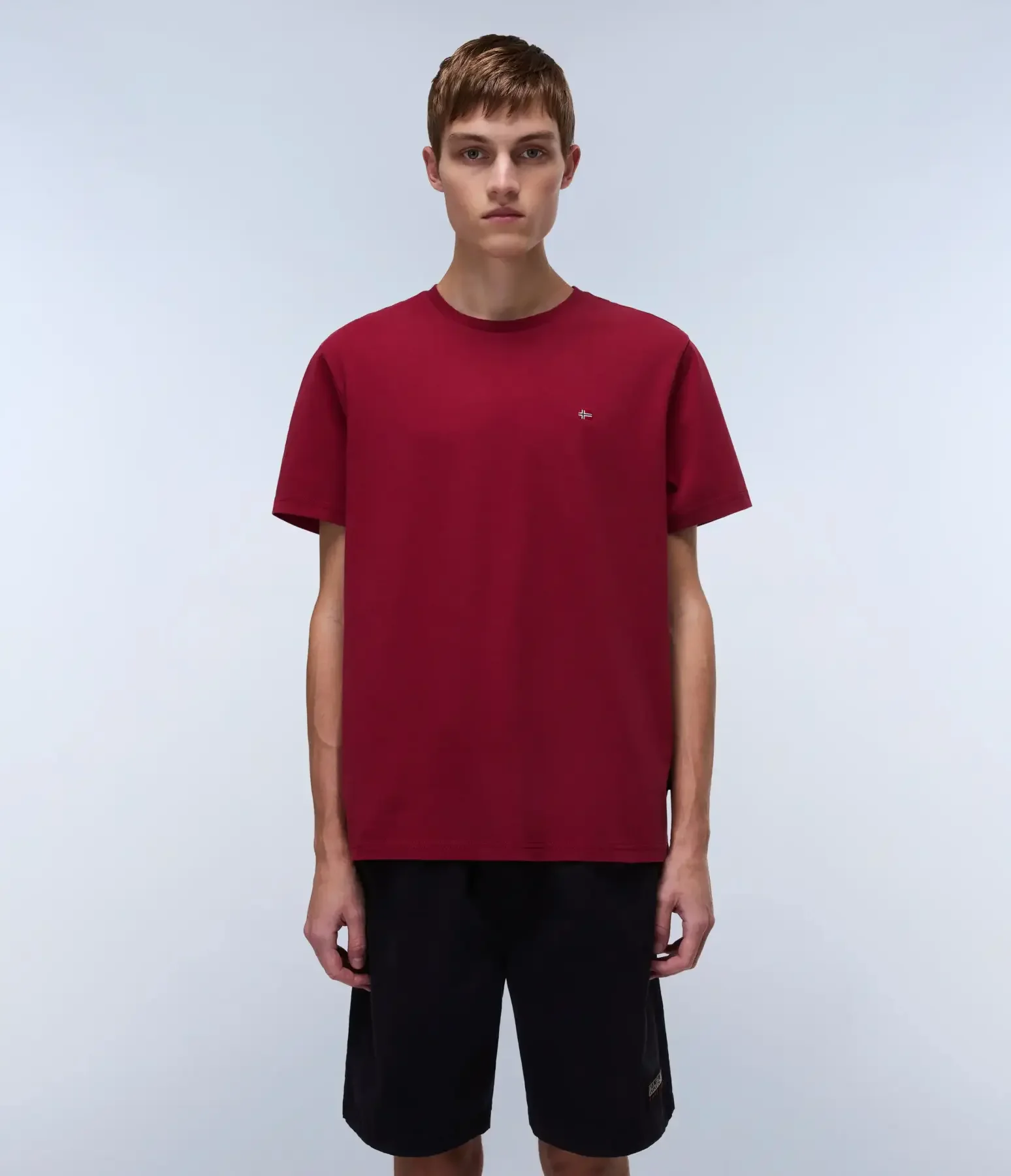 Φωτογραφία προϊόντος: Napapijri - Ανδρικό T-shirt Salis Ss Sum Regular Fit NP0A4H8D-R1E Μπορντό