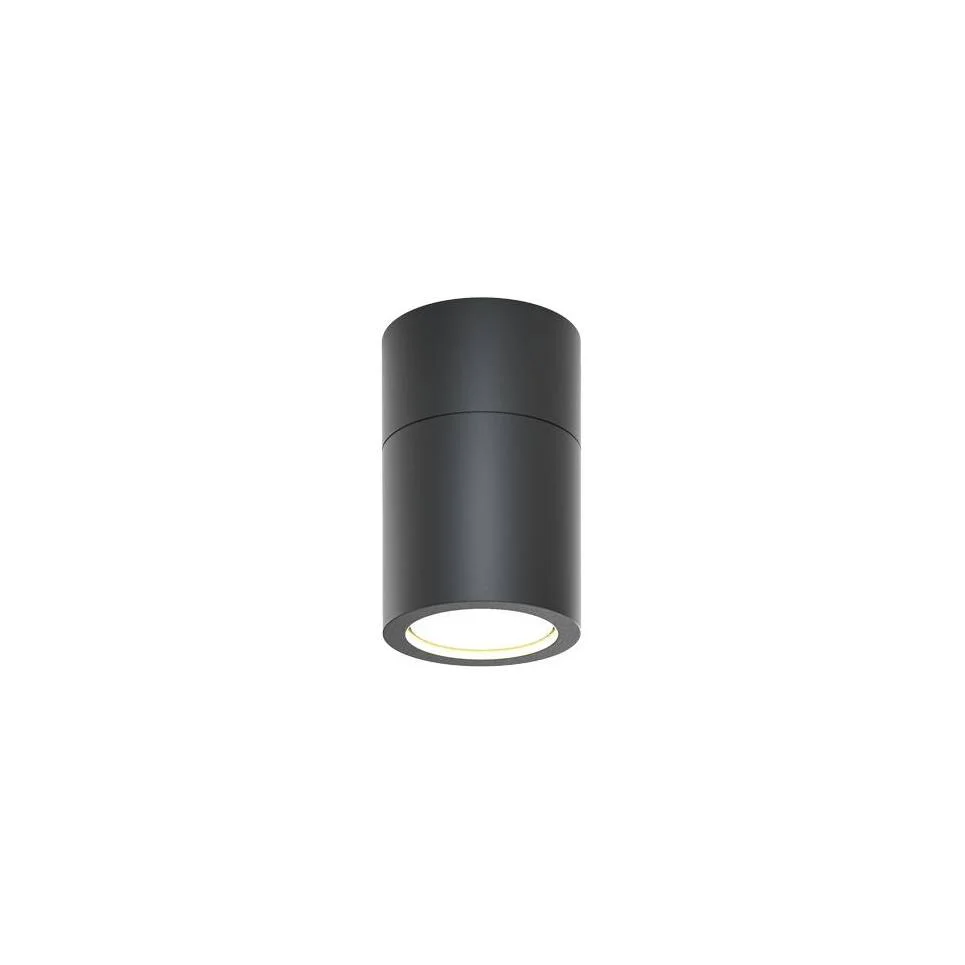 Φωτογραφία προϊόντος: it-Lighting Chelan 1xGU10 Outdoor Ceiling Down Light Anthracite D:10.3cmx6cm (80300144)