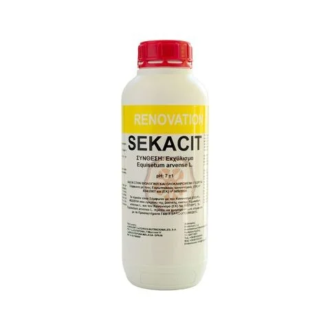 Φωτογραφία προϊόντος: Sekacit Renovation | 1lt