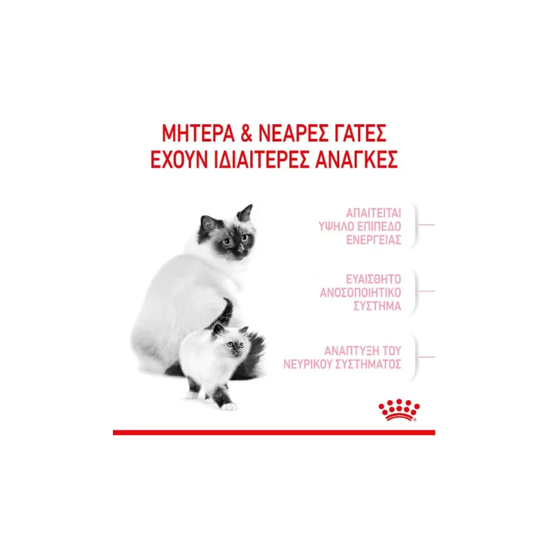 Φωτογραφία προϊόντος: Royal Canin Mother + Baby Cat 4kg